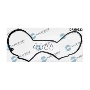 DRM0223 LIZARTE