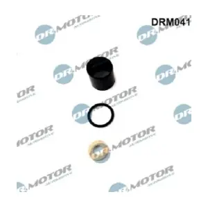 DRM041 LIZARTE