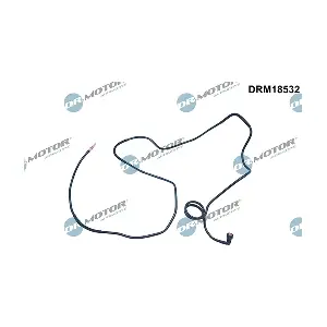 DRM18532 LIZARTE