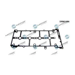 DRM01698 LIZARTE