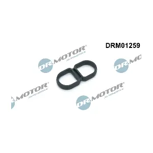 DRM01259 LIZARTE