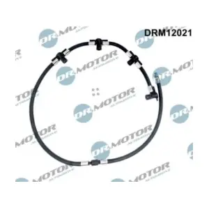 DRM12021 LIZARTE