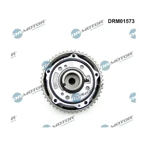 DRM01573 LIZARTE
