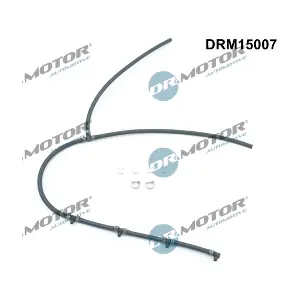 DRM15007 LIZARTE