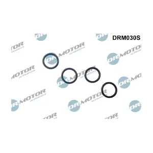 DRM030S LIZARTE
