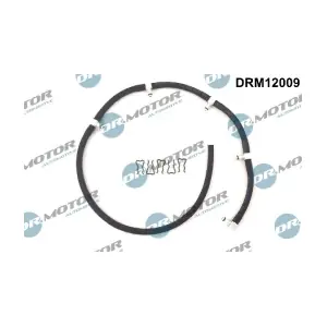 DRM12009 LIZARTE