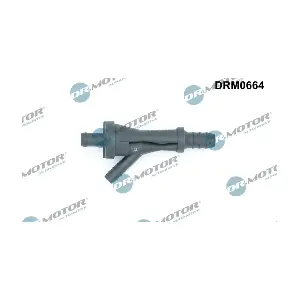 DRM0664 LIZARTE
