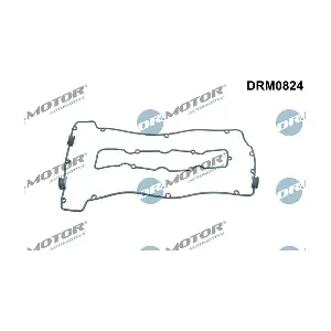 DRM0824 LIZARTE