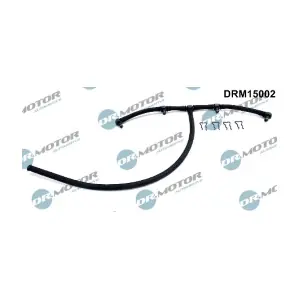 DRM15002 LIZARTE
