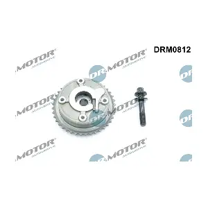 DRM0812 LIZARTE