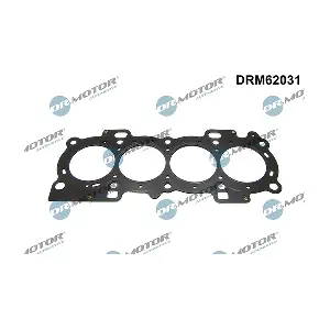 LIZARTE DRM62031