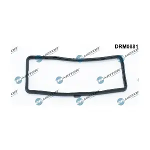 DRM0881 LIZARTE