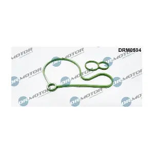 DRM0594 LIZARTE