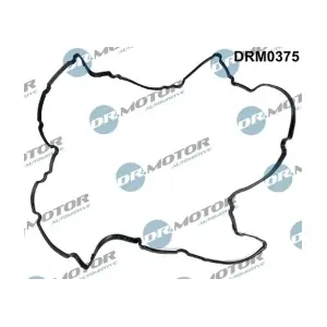 DRM0375 LIZARTE