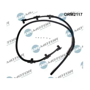 DRM2117 LIZARTE