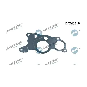 DRM0818 LIZARTE