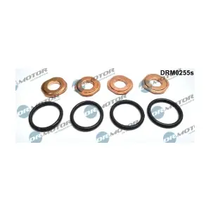 DRM0255S LIZARTE