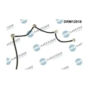 DRM12018 LIZARTE