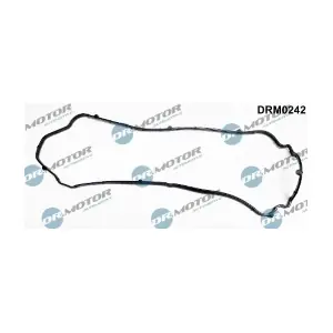 DRM0242 LIZARTE