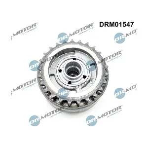 DRM01547 LIZARTE