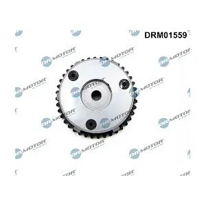LIZARTE DRM01559