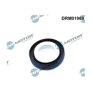 DRM01969 LIZARTE