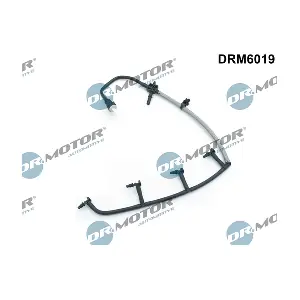 DRM6019 LIZARTE