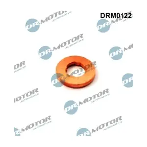 LIZARTE DRM0122