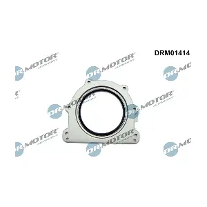 DRM01414 LIZARTE