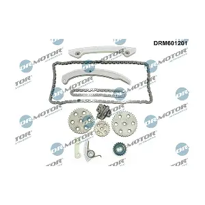 DRM601201 LIZARTE