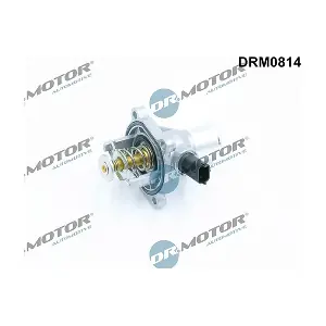 LIZARTE DRM0814