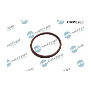LIZARTE DRM0286
