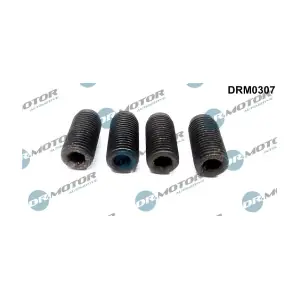 DRM0307 LIZARTE