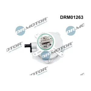 DRM01263 LIZARTE