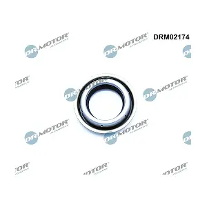 DRM02174 LIZARTE