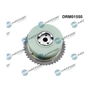 DRM01550 LIZARTE