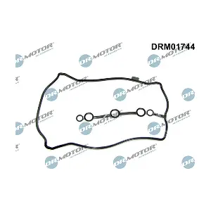DRM01744 LIZARTE