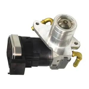 EGR015 LIZARTE