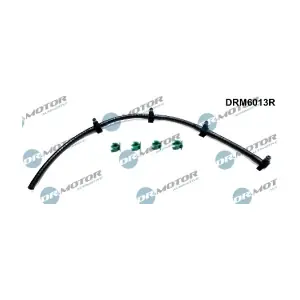 DRM6013R LIZARTE