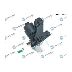 DRM211025S LIZARTE