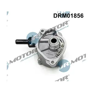 DRM01856 LIZARTE