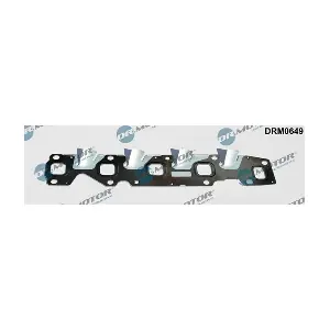 LIZARTE DRM0649