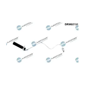 DRM02151 LIZARTE