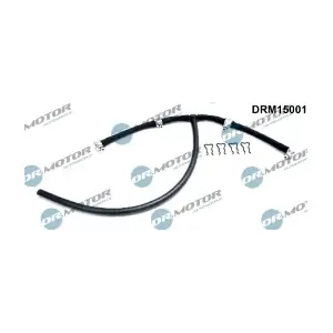 DRM15001 LIZARTE