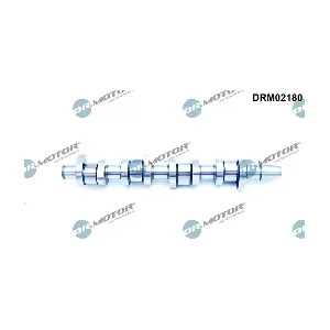 DRM02180 LIZARTE