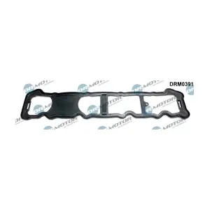 DRM0391 LIZARTE