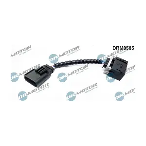 DRM0585 LIZARTE