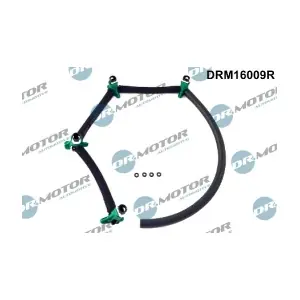 DRM16009R LIZARTE