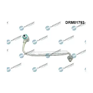 DRM01793 LIZARTE