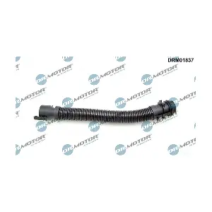 DRM01837 LIZARTE